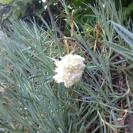 All'orizzonte * Duino