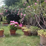 펜션 All'orizzonte 두이노