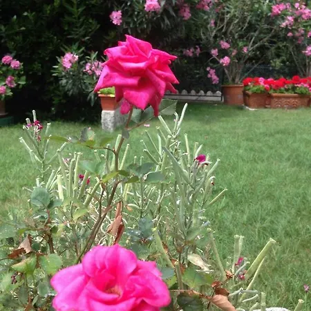 Holiday home All'orizzonte