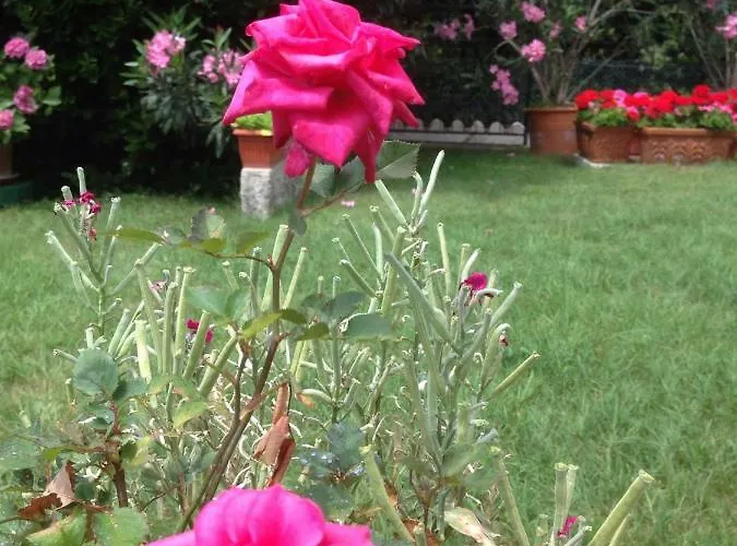 Holiday home All'orizzonte